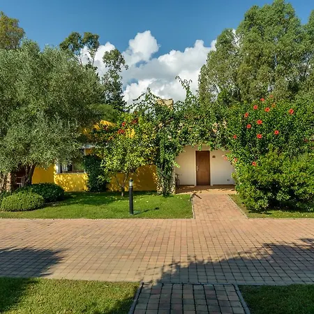 منتجع Garden