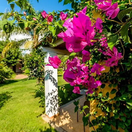 Garden Castiadas